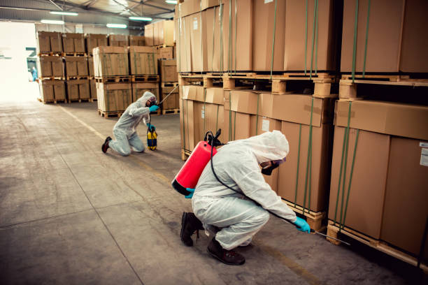 Best Local Pest Control Services  in Barrington, IL