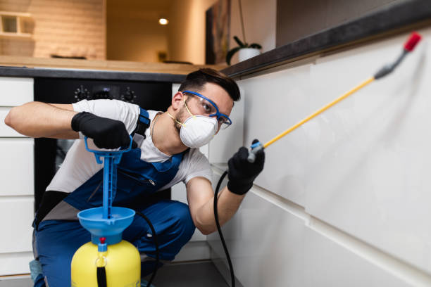 Best Affordable Pest Control Services  in Barrington, IL