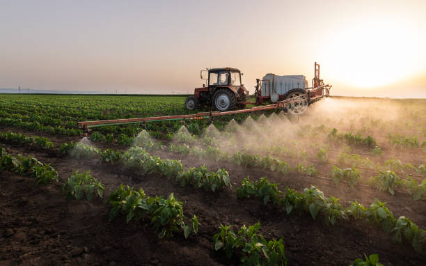 Professional Pest Control in Barrington, IL