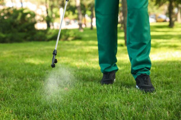 Best Flea Control Services  in Barrington, IL