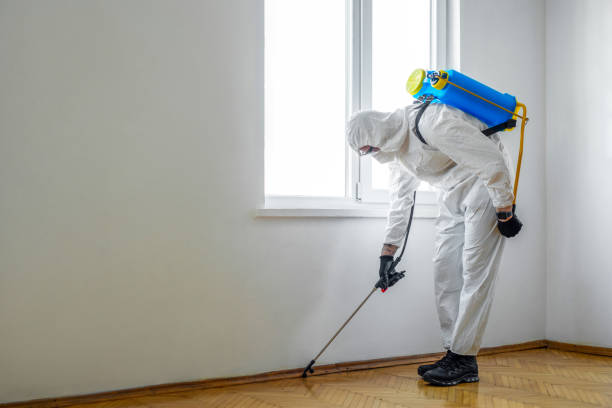 Best Wasp Removal Services  in Barrington, IL