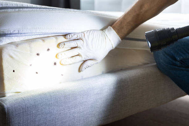 Best Pest Prevention Services  in Barrington, IL