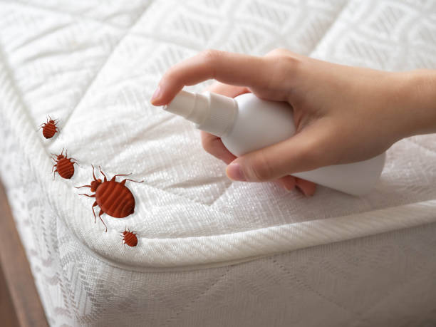Best Commercial Pest Control Services  in Barrington, IL