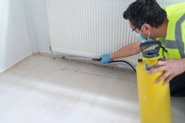 Pest Control for Restaurants in Barrington, IL