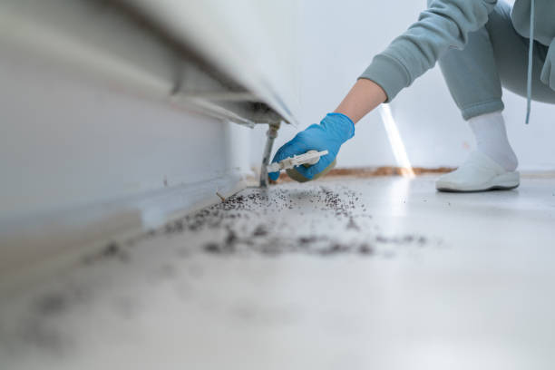 Best Bed Bug Extermination  in Barrington, IL